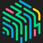 HalfBrain Consulting