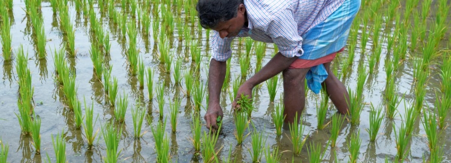 Future Farming