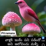 Madhu Babu